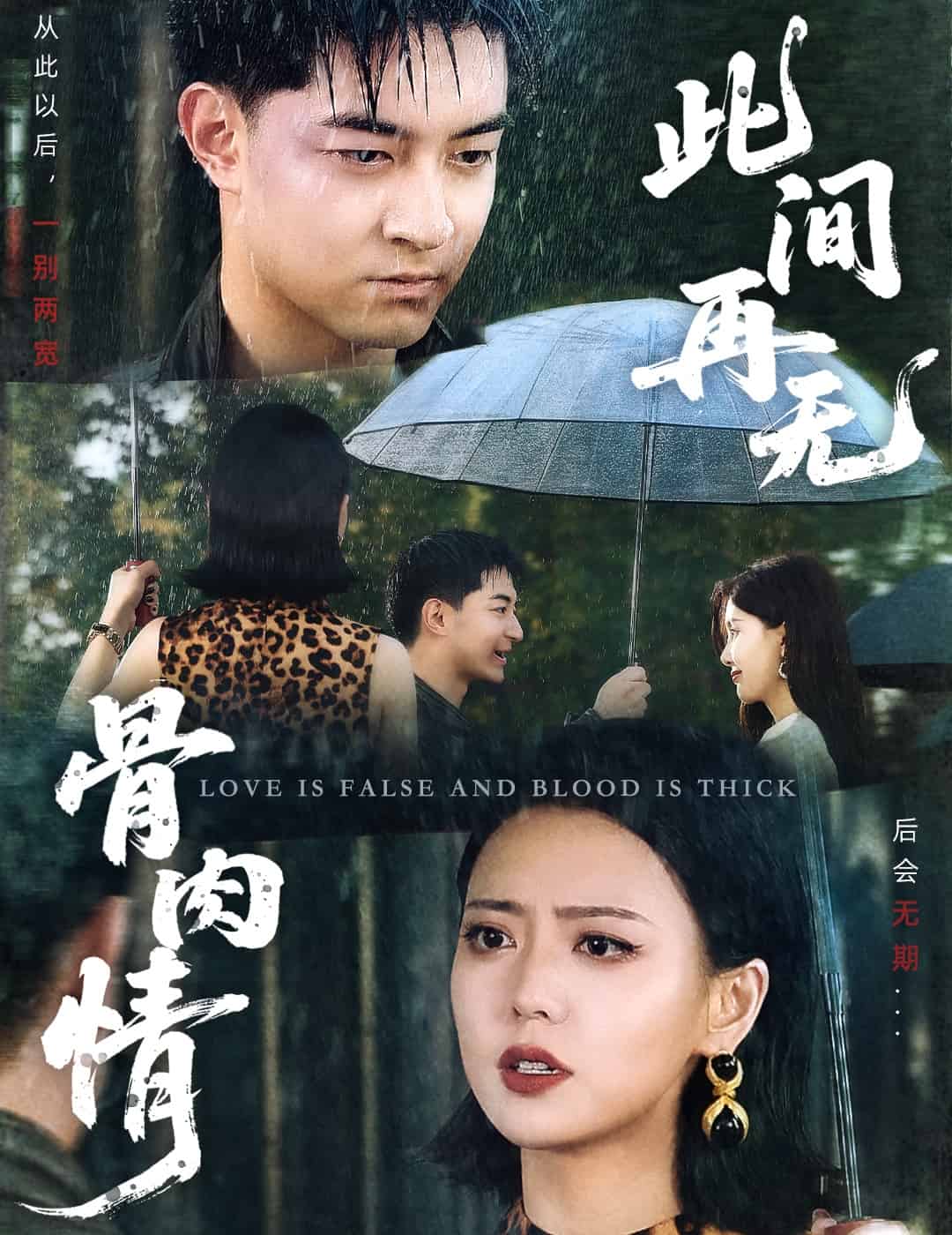 此间再无骨肉情 第17集